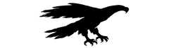 THAPE Kacper Sobczyk